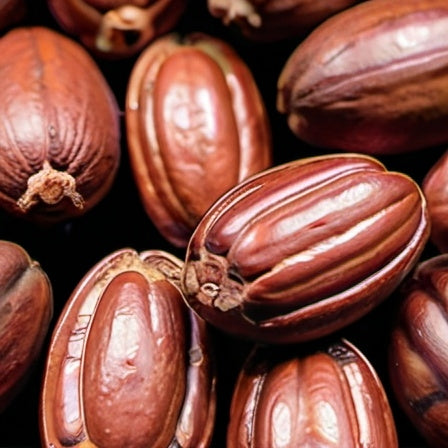 Cacao
